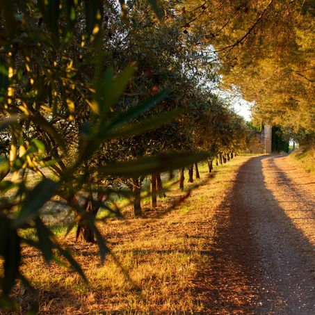 Entrée du domaine La Fourcade