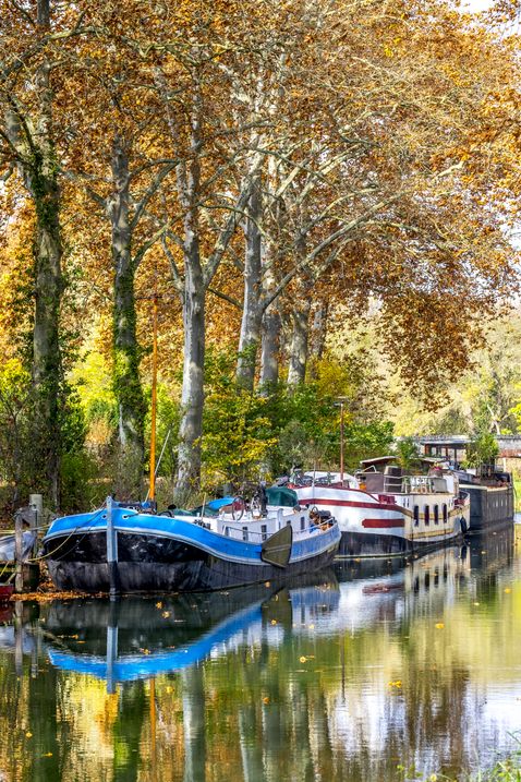 Canal du midi Capestang